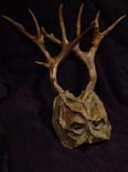 Stag